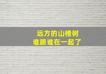 远方的山楂树谁跟谁在一起了