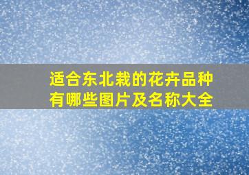 适合东北栽的花卉品种有哪些图片及名称大全