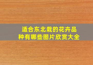 适合东北栽的花卉品种有哪些图片欣赏大全