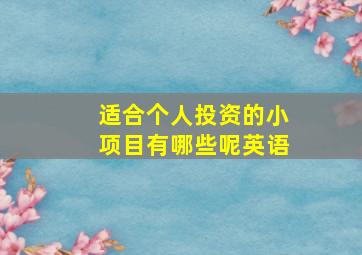 适合个人投资的小项目有哪些呢英语