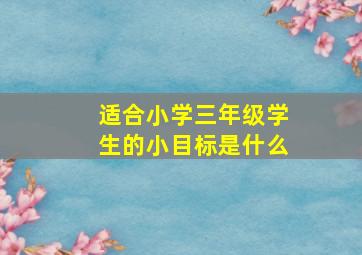 适合小学三年级学生的小目标是什么