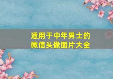 适用于中年男士的微信头像图片大全