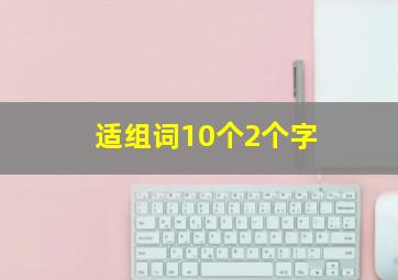 适组词10个2个字