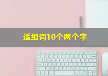 适组词10个两个字