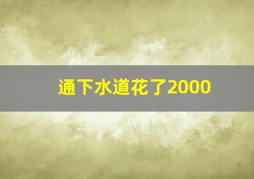 通下水道花了2000