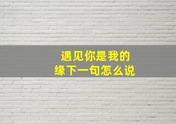 遇见你是我的缘下一句怎么说