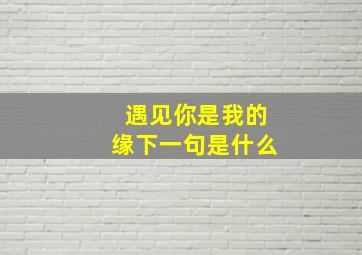 遇见你是我的缘下一句是什么