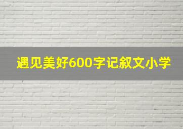 遇见美好600字记叙文小学