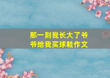 那一刻我长大了爷爷给我买球鞋作文