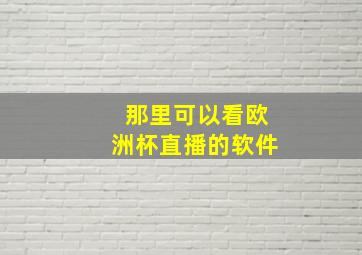 那里可以看欧洲杯直播的软件