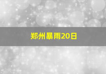 郑州暴雨20日