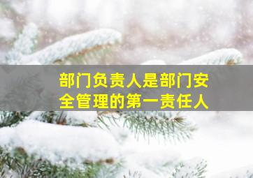 部门负责人是部门安全管理的第一责任人