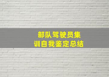 部队驾驶员集训自我鉴定总结