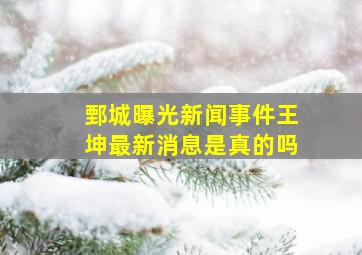 鄄城曝光新闻事件王坤最新消息是真的吗