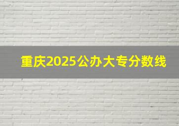 重庆2025公办大专分数线