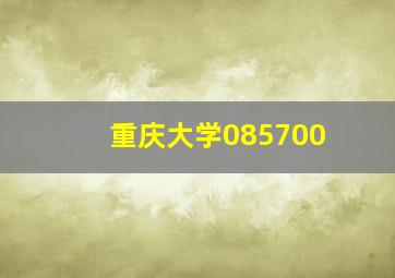 重庆大学085700