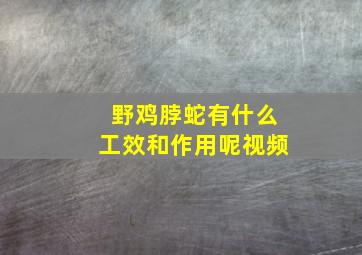 野鸡脖蛇有什么工效和作用呢视频