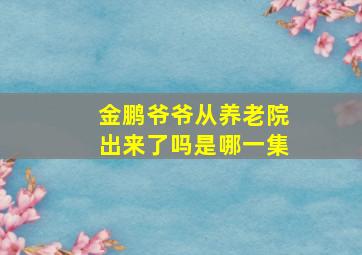 金鹏爷爷从养老院出来了吗是哪一集