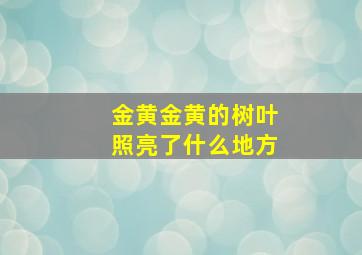 金黄金黄的树叶照亮了什么地方