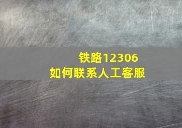 铁路12306如何联系人工客服