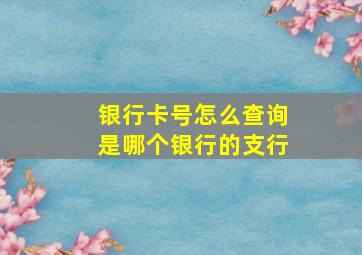 银行卡号怎么查询是哪个银行的支行