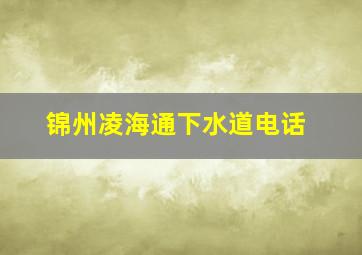 锦州凌海通下水道电话