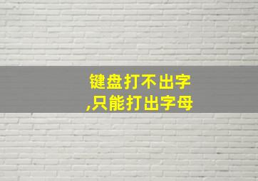 键盘打不出字,只能打出字母