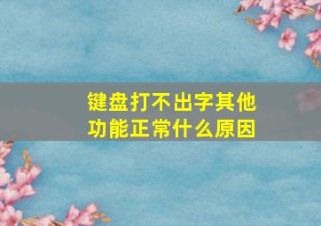 键盘打不出字其他功能正常什么原因