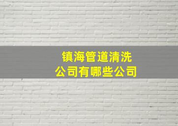 镇海管道清洗公司有哪些公司