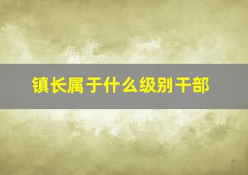 镇长属于什么级别干部