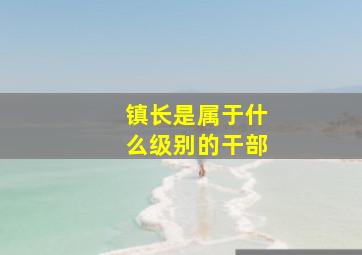 镇长是属于什么级别的干部