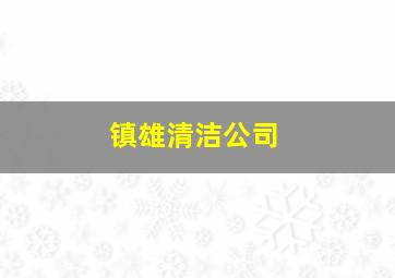 镇雄清洁公司