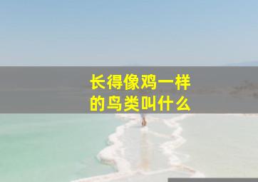 长得像鸡一样的鸟类叫什么