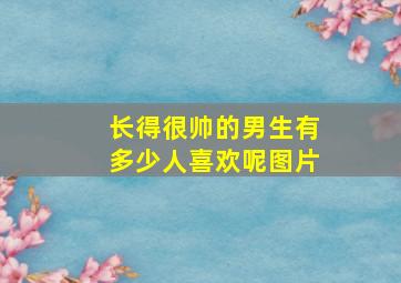 长得很帅的男生有多少人喜欢呢图片