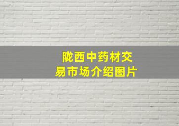 陇西中药材交易市场介绍图片