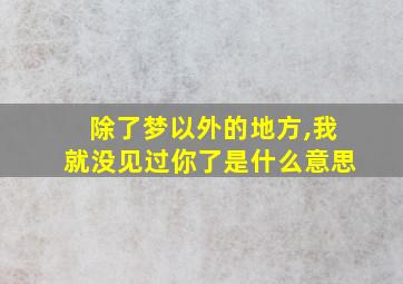 除了梦以外的地方,我就没见过你了是什么意思