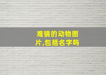 难猜的动物图片,包括名字吗