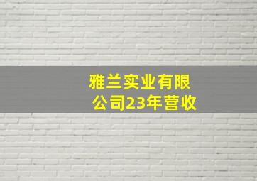 雅兰实业有限公司23年营收