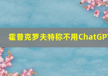 霍普克罗夫特称不用ChatGPT