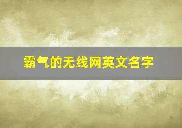 霸气的无线网英文名字