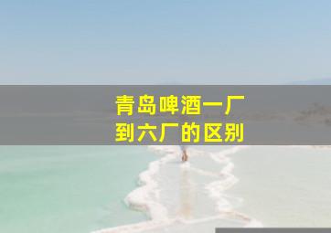 青岛啤酒一厂到六厂的区别