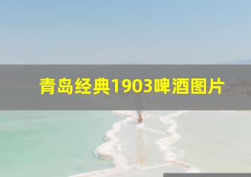 青岛经典1903啤酒图片