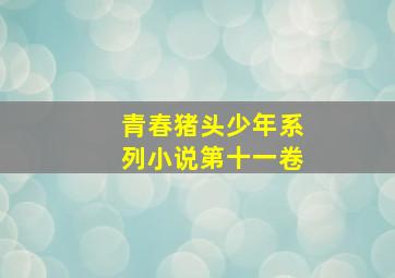 青春猪头少年系列小说第十一卷