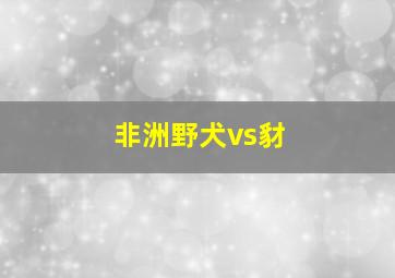 非洲野犬vs豺