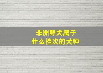 非洲野犬属于什么档次的犬种