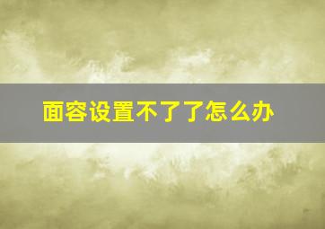 面容设置不了了怎么办