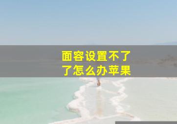 面容设置不了了怎么办苹果