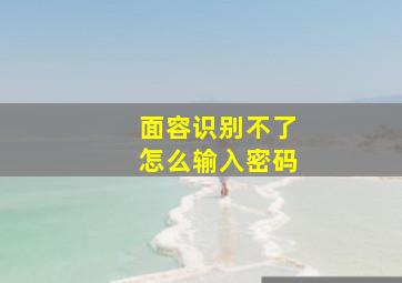 面容识别不了怎么输入密码