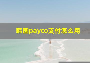 韩国payco支付怎么用