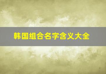 韩国组合名字含义大全